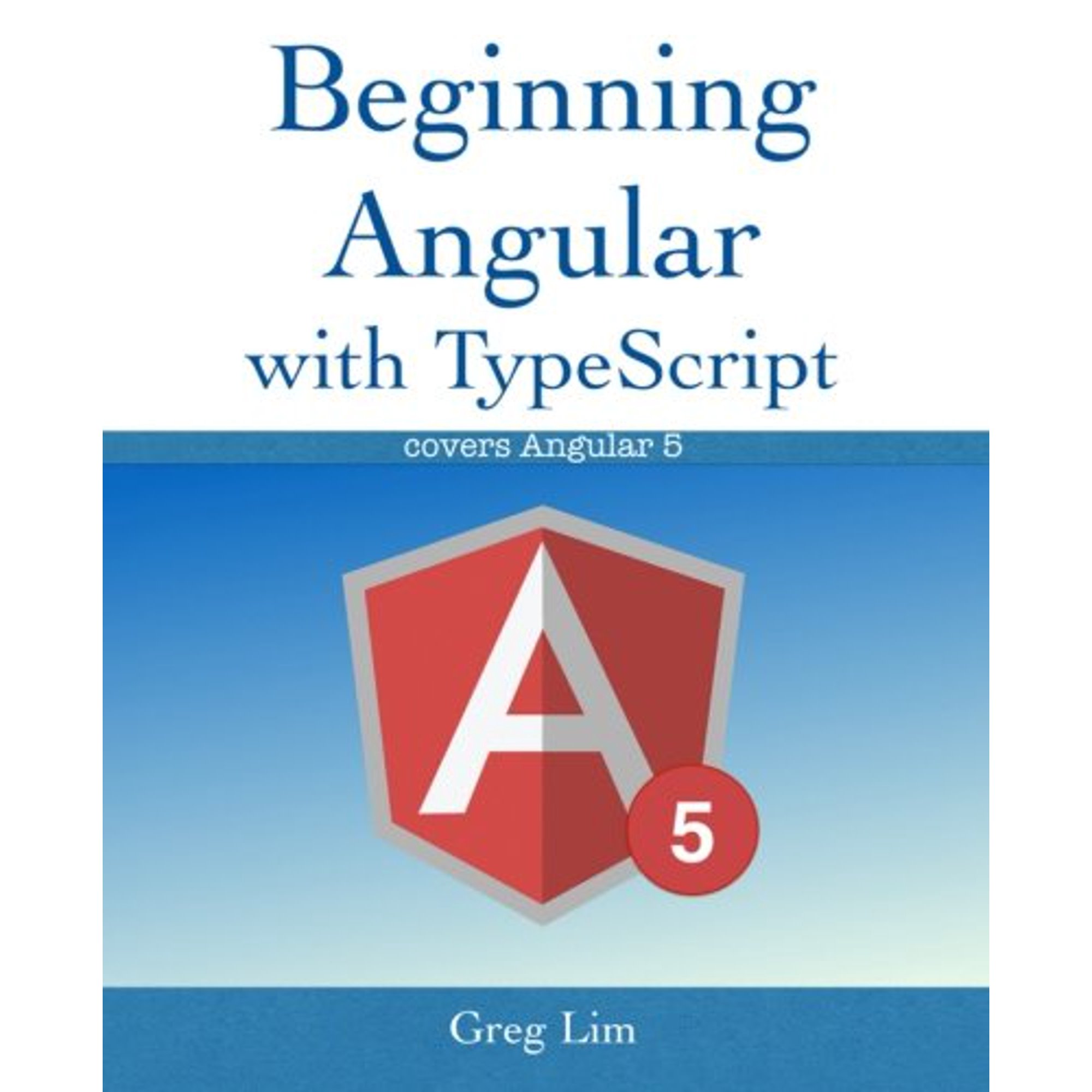 Beginning Angular with Typescript (updated to Angular 5) Paperback - USED