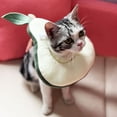thumbnail image 1 of Flmtop Cône pour Chaton Résistant à l'Usure Doux Flexible en Forme de Pomme pour la Maison, 1 of 9