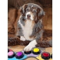 thumbnail image 4 of Talking Pet Starter Recordable Speaking Button Dog Training Communication Toy New Hot, 4 of 4