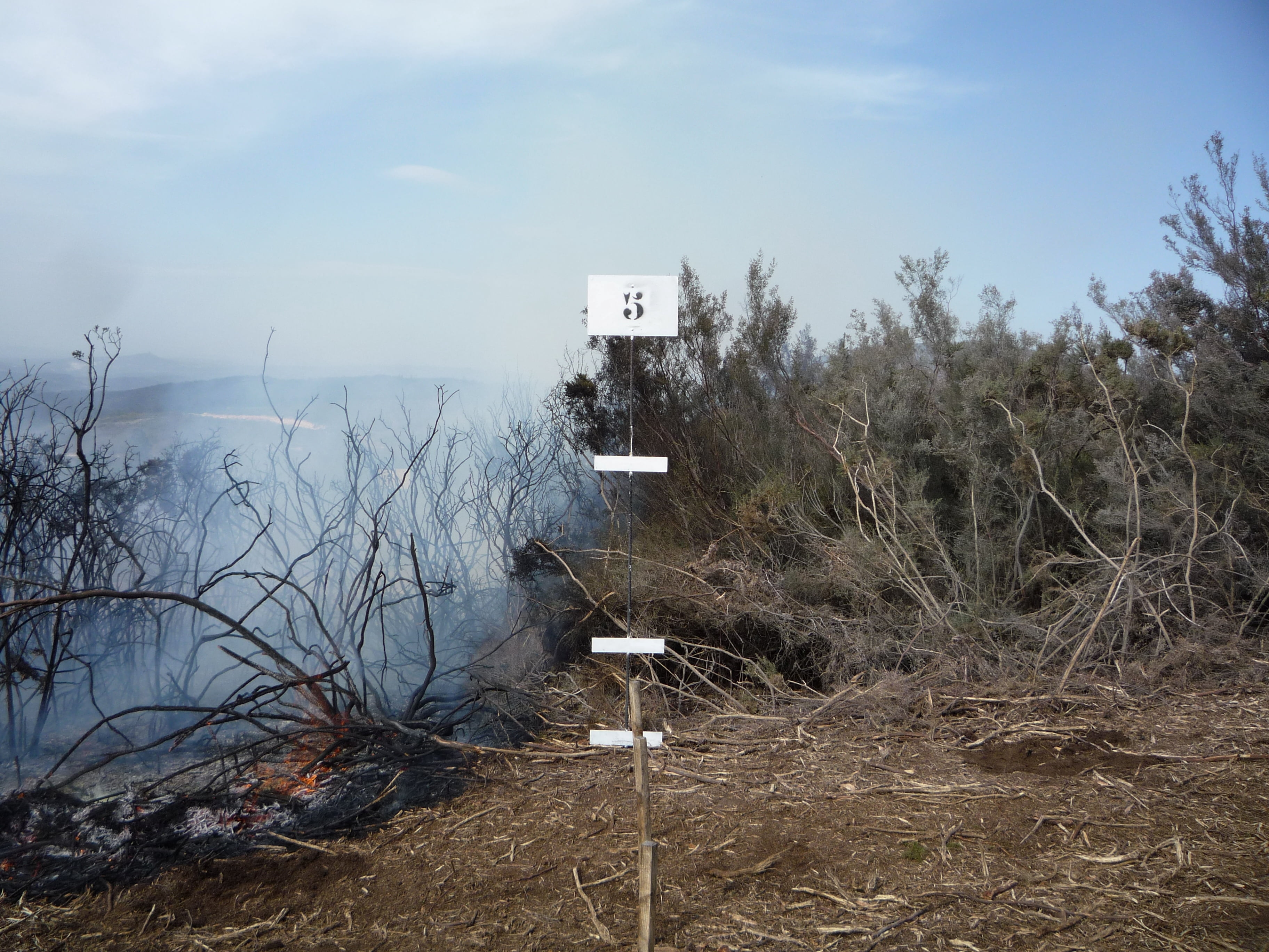 HOME PROTECTION - WILDFIRE SUPPRESSANT FS-01: Non-Toxic and Biodegradable Fire Suppressant