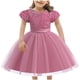 thumbnail image 1 of Odeerbi Las Niñas de Verano Sparkly Lentejuelas Vestido de Princesa Vestido de Niña de Las Flores Vestido de Fiesta de Noche de Tul de Manga Corta Vestido de Boda Formal, 1 of 8