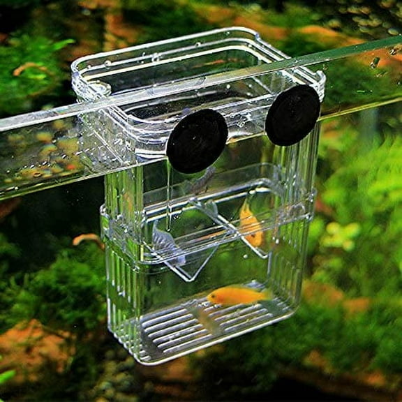 Walbest Aquarium Fish Breeder Rearing Trap Box for Hatchery 3.94x2.76x5.12in