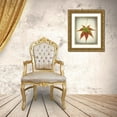 thumbnail image 3 of Mahan, Kathy 15x18 Gold Ornate Wood Framed with Double Matting Museum Art Print Titled - Maple Leaf I, 3 of 4