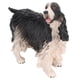 thumbnail image 3 of Figuras de Cocker Spaniel de simulación educativa, fáciles de mantener, para niños, juguetes y decoración de interiores, PL127‑1314, color negro, 3 of 14