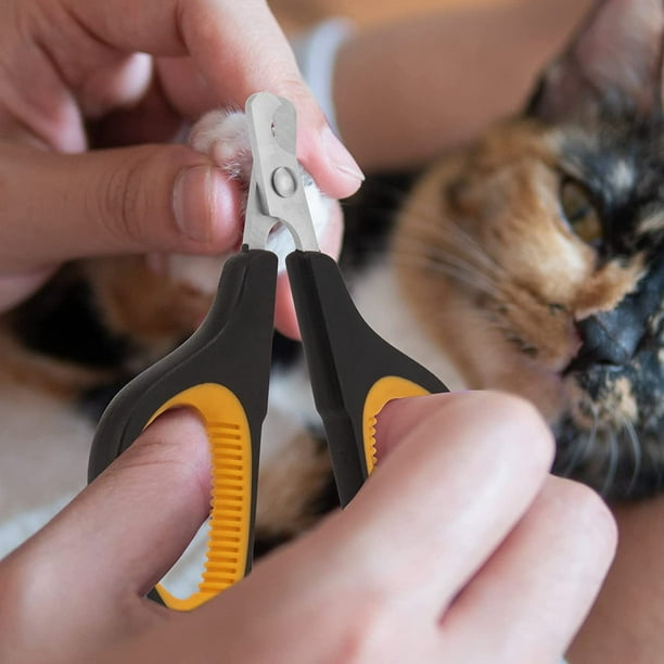 Kitten nail clearance cutter