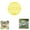 I09# Yellow, variant on Chicken Ball Cage Rolling Orb Mobile Poultry Enclosure Round Plastic Hutch,7.87Inch Movable Chicken Coop Ball - Safe Walking Net,Orb Ball Cage for Pigeons,Rabbits,White