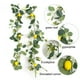 thumbnail image 5 of Enredaderas Artificiales con Hojas de Margaritas de Limón, Plantas Colgantes de Imitación para Decoración de Paredes, Ambientación, Estanterías, Tallos de Follaje Decorativos., 5 of 6