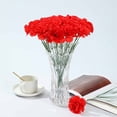thumbnail image 1 of Xihbxyly Clavel Artificial, Flor de Plástico de Alta Calidad, Colores Brillantes de Larga Duración, Diseño Resistente Al Agua, Decoración Del Hogar o Exhibición Comercial, Perfecto para El Día de La, 1 of 2