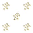 thumbnail image 3 of Ounissouiy 12 piezas de flores secas para manualidades, accesorios para hacer flores prensadas. Type5 NO5, 3 of 6