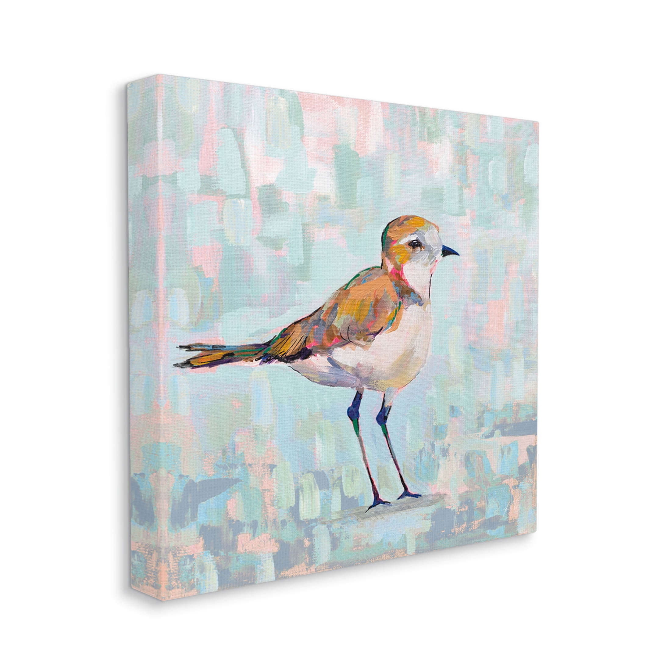Stupell Industries Coastal Plover Nautical Bird Painting Gallery Wrapped Canvas Print Wall Art, Design by Jeanette Vertentes