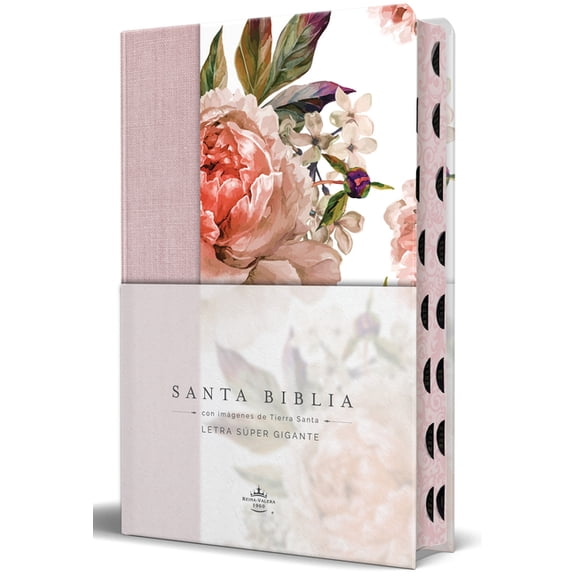 Biblia Reina Valera Revisada 1960 Letra SÃºper Gigante, Tapa Dura Contela Y Flores Rosada Cantos Pintados Ãndice/ Spanish, (Hardcover)