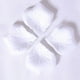 thumbnail image 2 of 1000 Pétalos de Rosa Artificiales de Seda para Decoración de Bodas y San Valentín., 2 of 3