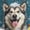 Alaskan Malamute Get Naked, variant on Funny Corgi Shower Curtain with Hooks, "Get Naked" Cute Pembroke Welsh Corgi in Bubble Bath, Waterproof Fabric Bathroom Decor for Pet Lovers, Machine Washable - 60"x72"