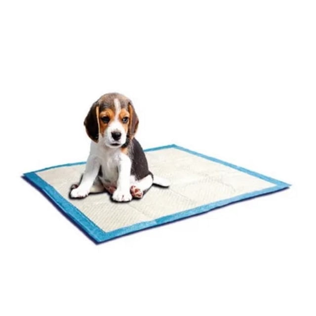 Pañales Entrenadores Perro 15pzs 58x56cm Puppy Trainer Sunny Sunny SP-3806