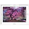 thumbnail image 5 of Art.com Pink Tree 2 Photographic Print by Moises Levy, White Frame Wall Art, 23" x 17", 5 of 5