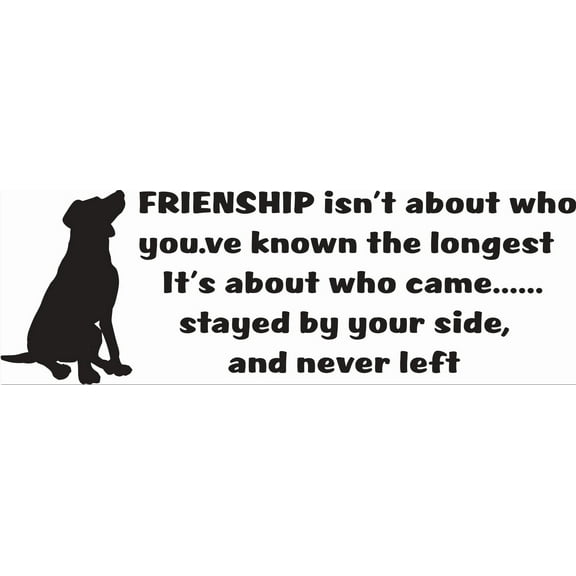 Friendship Isnt About Who You Known The Longest Its About Who Came Stayed By Your Side & Never Left Quote Dog Custom Wall Decal Vinyl Sticker 10 Inches X 20 Inches