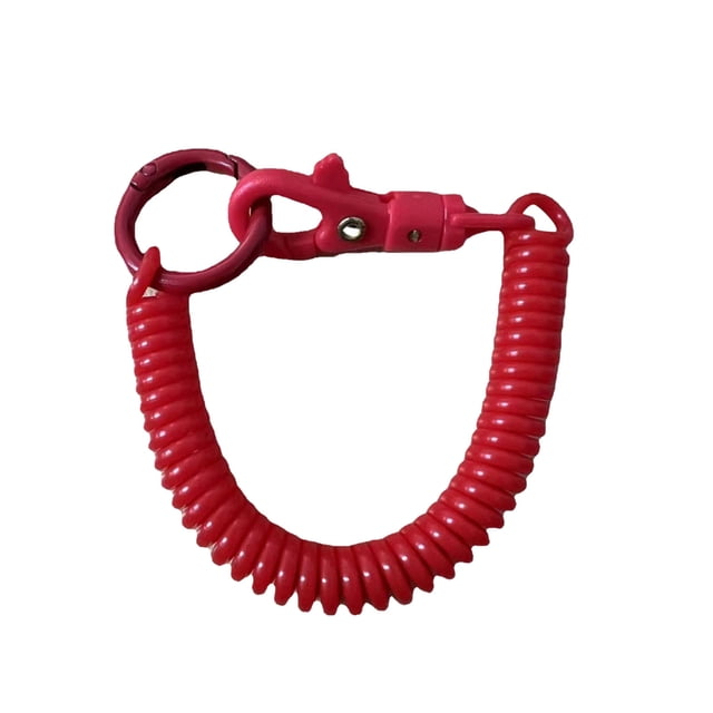 GFHFHITJ Key Chain Plastic Spring Rope Key Chain Spring Mobile Phone Rope Telescopic Spring Lanyard Key Chain Lanyard