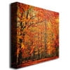 thumbnail image 3 of Trademark Art "Red November" Canvas Wall Art by Philippe Sainte-Laudy, 3 of 4