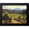 thumbnail image 2 of Swanson, Michael 18x15 Black Modern Framed Museum Art Print Titled - Tuscany Vines, 2 of 5