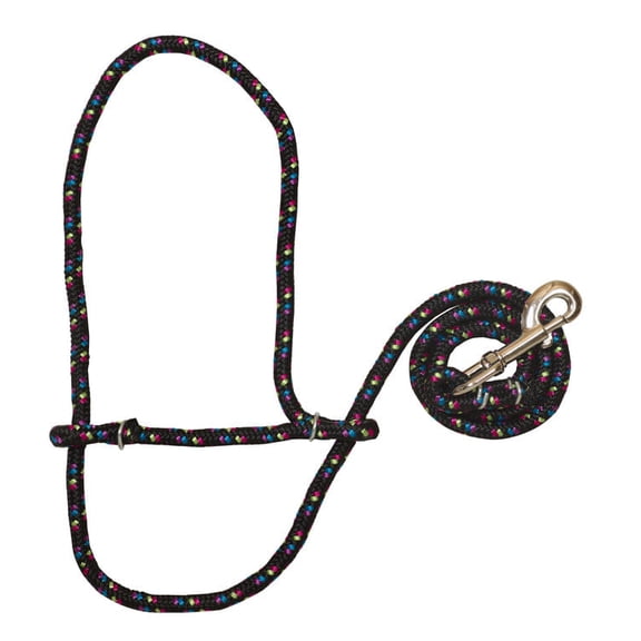 Weaver Leather Rope Sheep Halter with Snap and 52" Lead (Black/Pink/Purple/Blue/Lime)