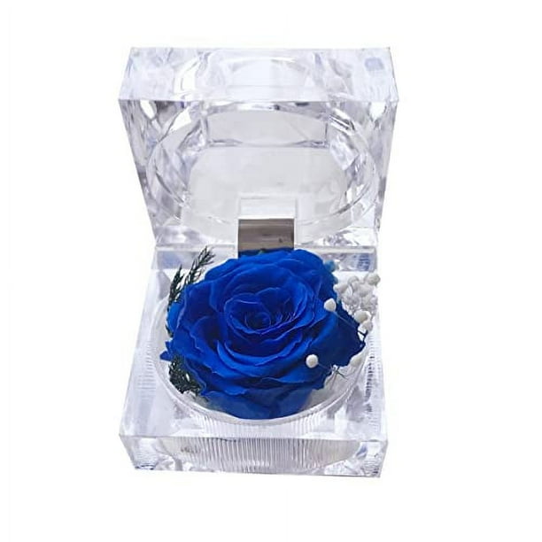 Rosa preservada LANNMXG en mini caja de anillo transparente azul