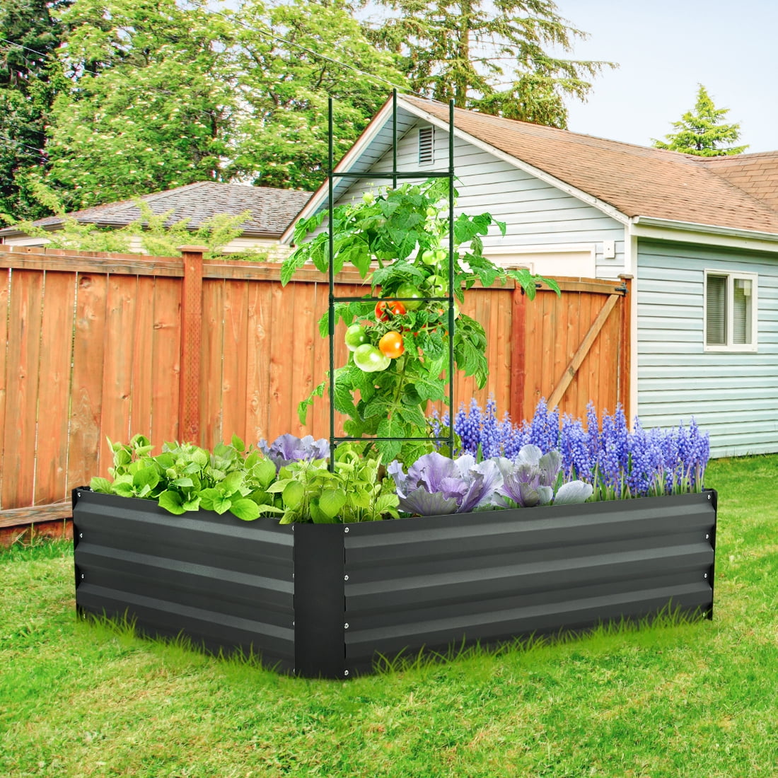 Bottomless Metal Planter Box Vegetabes Flowers Herbs Backyard Patio Quictent Galvanized Raised Garden Bed 6x3x2 Ft with 3 pcs Tomato Cage 1 pc Weed Barrier Gloves 