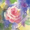thumbnail image 2 of Troise Heidel, Theresa 26x26 White Modern Wood Framed Museum Art Print Titled - Margots Rose II, 2 of 4