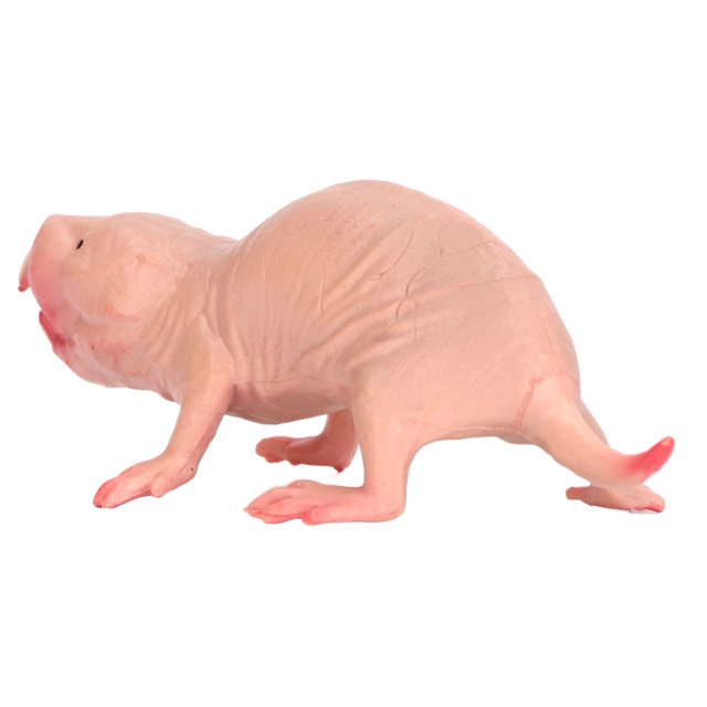 Mole Figurine Toy, Mole Figurine Safe Interesting Widely Use Eco Friendly Lifelike For Collection For Home Decoration