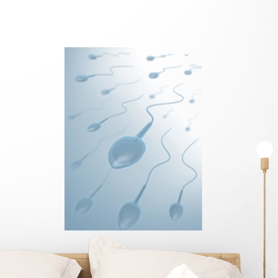 Clear Bottom Origin Sperms Wall Mural by Wallmonkeys Peel and Stick Graphic (24 in H x 18 in W) WM268410