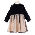 thumbnail image 4 of Vestido infantil Vestido de verano de manga larga para niñas Vestido de velo de encaje para niñas Vestido de princesa, 4 of 5