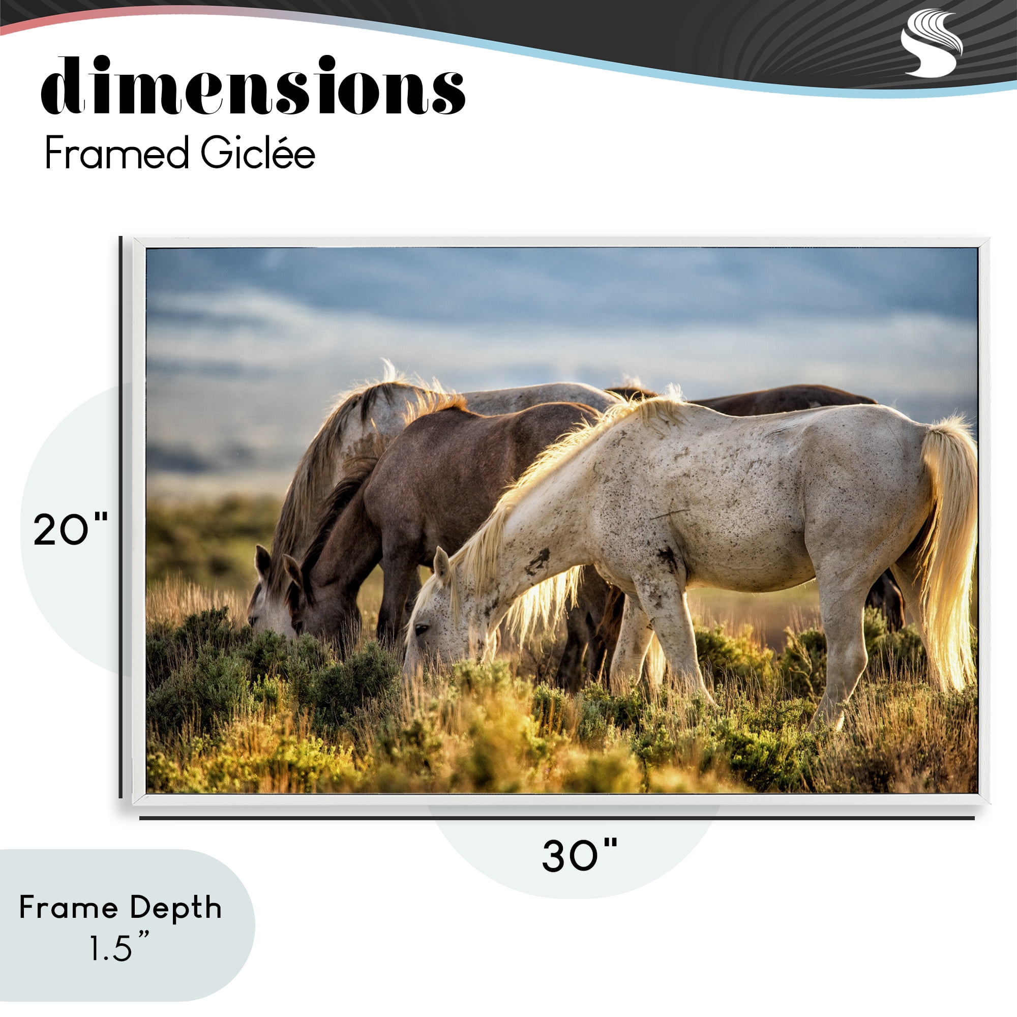 Stupell Industries Equine Evening Graze White Framed Giclee Art, design by Tim West