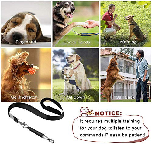 2021 New 2PCS Ultrasonic Dog Whistles to Stop Barking with Adjustable Pitch Silent Ultrasound Dog Training Whistles with Lanyard for Pet Dog Training Black ROFAKU Dog Whistles