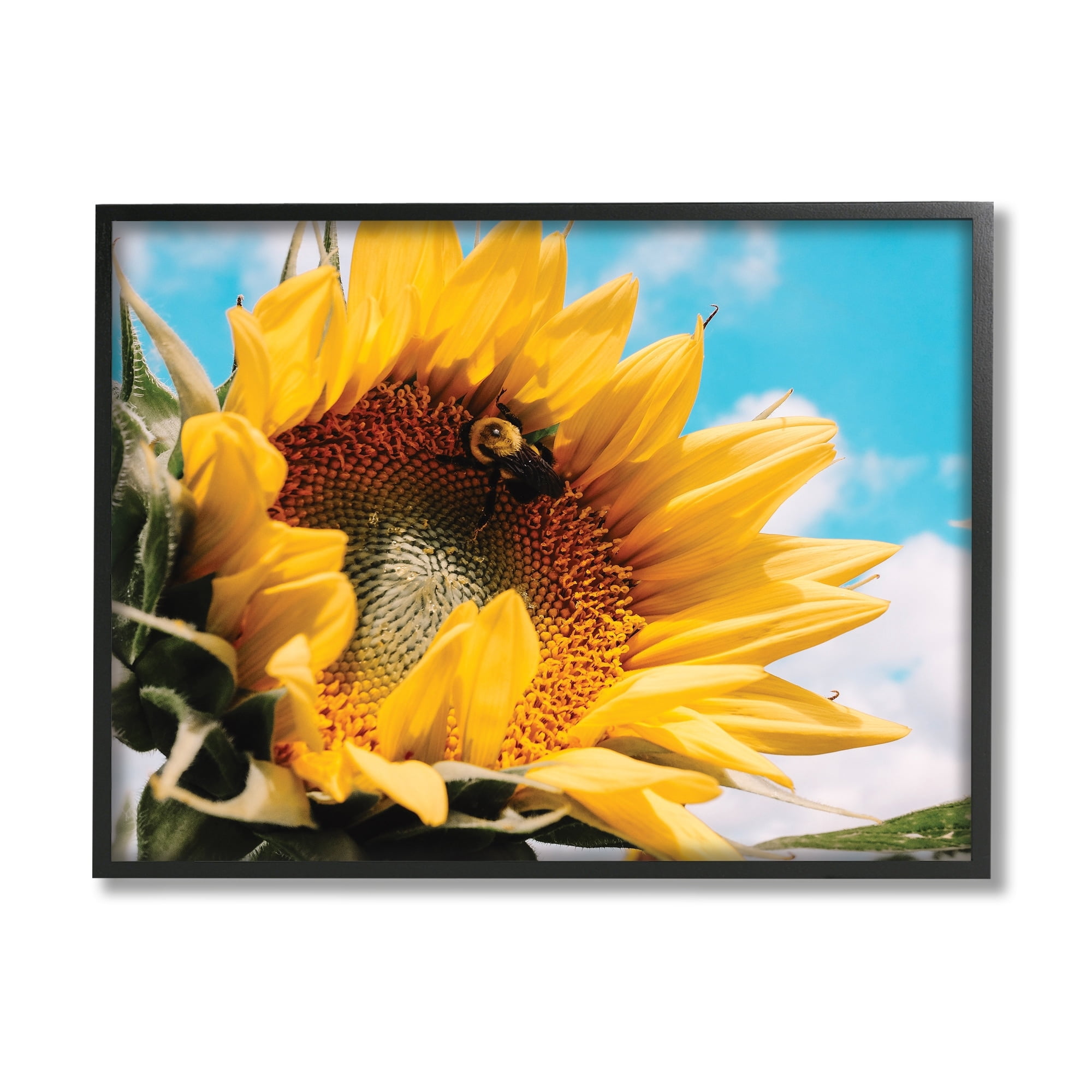 Stupell Industries Summer Sunflower Blossom Pollinating Honey Bee Photography Photograph Black Framed Art Print Wall Art, Design by Hey Bre! Creative Studio