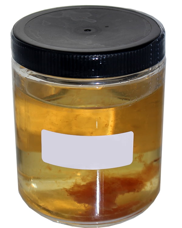 Supreme Rice Wine Mother Of Vinegar