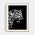 thumbnail image 2 of Leopard - Photography Wildlife Animal Black and White Portrait Nature Jungle Tiger Unframed Wall Art Print 5 x 7 inches, 2 of 4