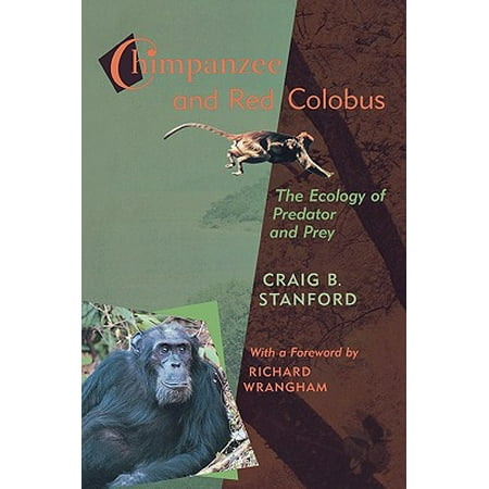 Chimpanzee And Red Colobus The Ecology Of Predator And Prey