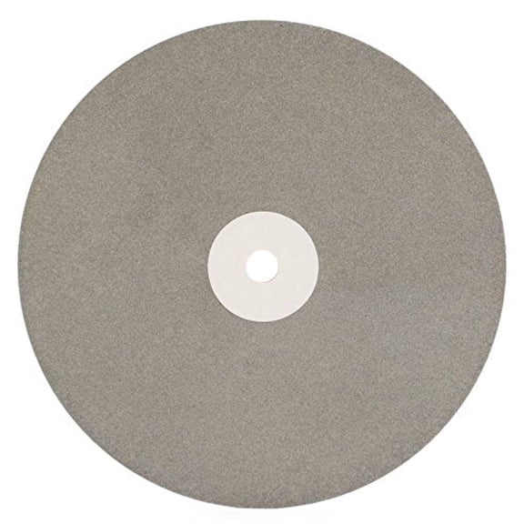 8 inch Diamond Coated Disc Grit 320