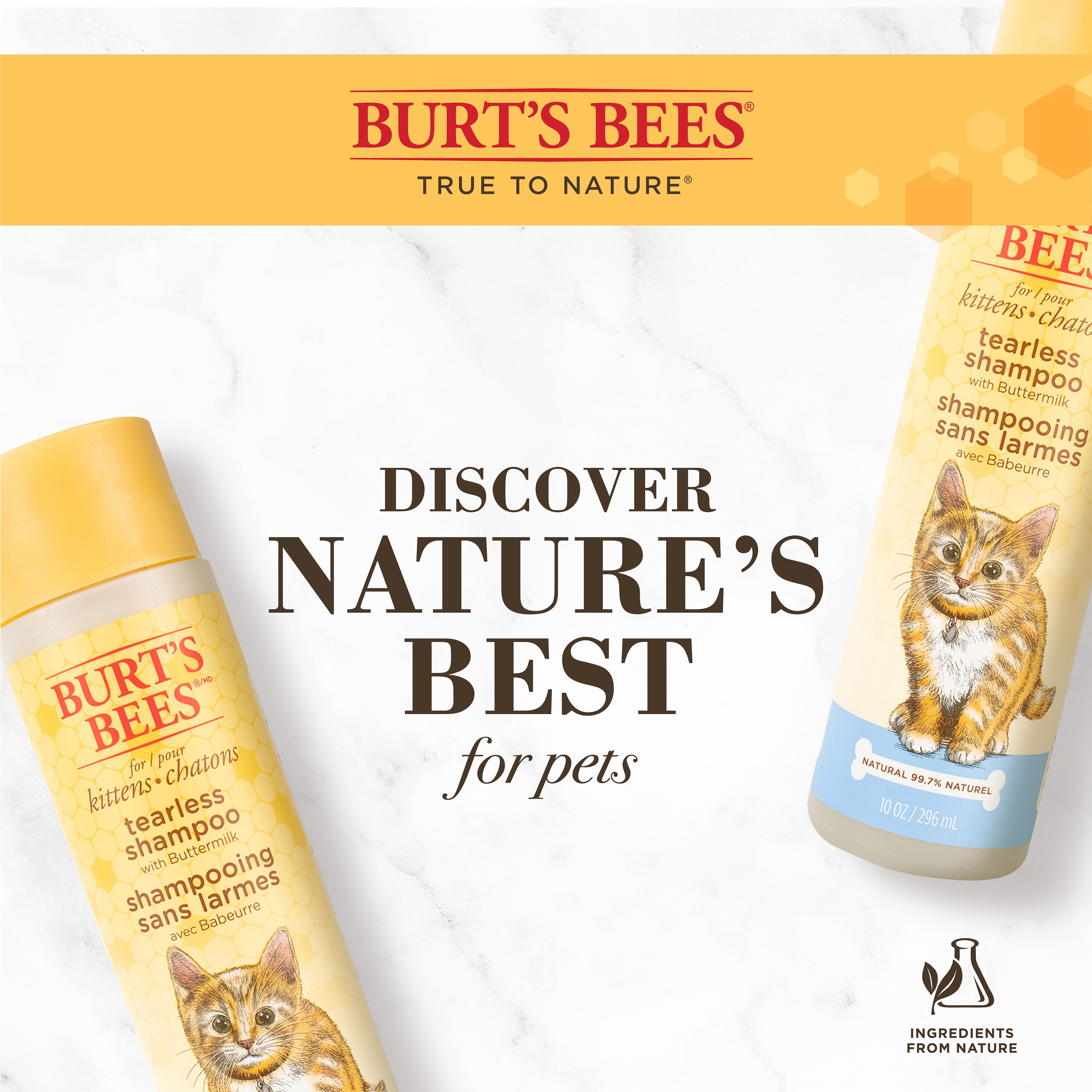Burt's Bees Natural Tearless Shampoo with Buttermilk for Kittens, 10 oz