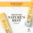 thumbnail image 4 of Burt's Bees Natural Tearless Shampoo with Buttermilk for Kittens, 10 oz, 4 of 10