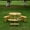 6-Person Wooden Round Table Natural, variant on Luckynote 6-Person Circular Outdoor Wooden Picnic Table for Patio, Backyard, Garden, DIY w/ 3 Built-in Benches, 1720lb Capacity - Brown