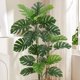 thumbnail image 5 of QinaQin Planta Monstera deliciosa artificial con poste curvo y hojas ajustables, ideal para decoración tropical en sala, oficina o recámara, 5 of 8