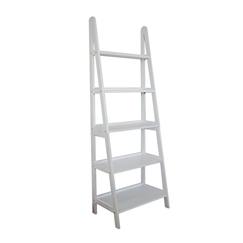 MINTRA 5 Tier AFrame Ladder Shelf, White