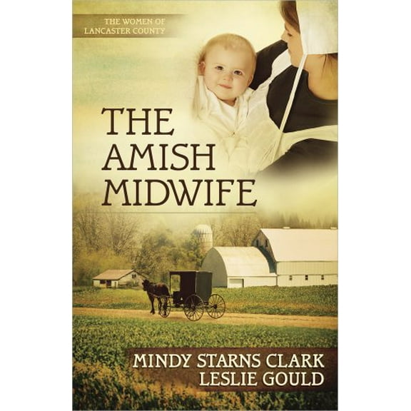 Pre-Owned The Amish Midwife: Volume 1 (Paperback) 0736937986 9780736937986