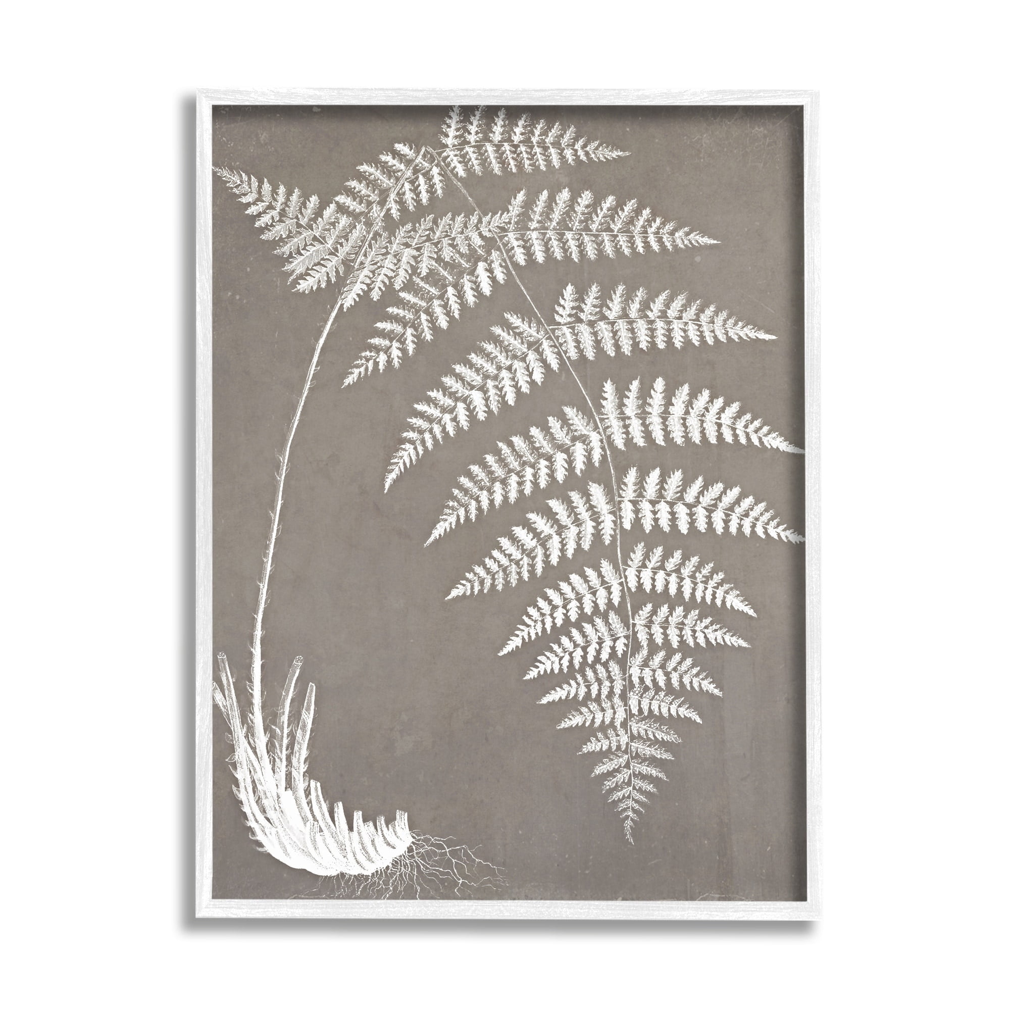Stupell Industries Fern Leaves Roots Growing Botanicals Neutral Tones Graphic Art White Framed Art Print Wall Art, Design by Graffitee Studios