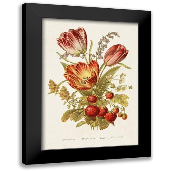 Unknown 11x14 Black Modern Framed Museum Art Print Titled - Antique Floral Bouquet IV