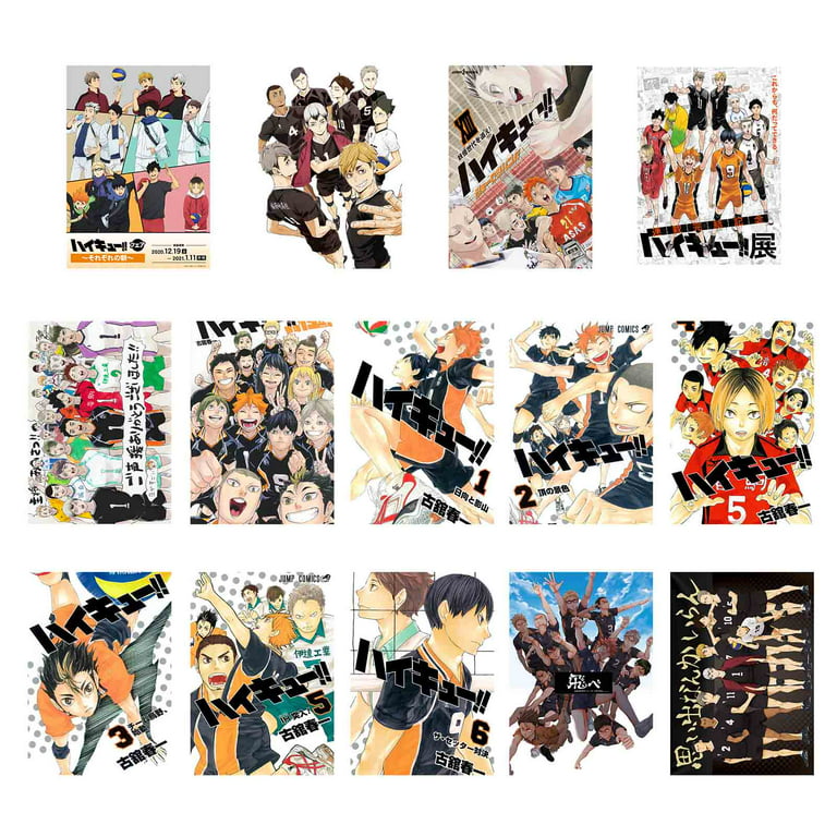 Buy Haikyuu!! All Characters Premium Wall Poster Stickers (45+