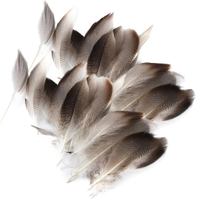 20 Unidades Plumas de Pollo Plumaje de Decoracion para de Disfraces Sombreros DIY Manualidades BLESIY Suministros para manualidades multiusos