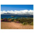 thumbnail image 1 of Great BIG Canvas | Rolled Ellen Rooney Poster Print entitled Gorse And Rhododendron Bushes Along Coast, 1 of 4