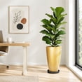 thumbnail image 6 of FIASON 2 Pack 21 Inch Glossy Gold Tall Planters, 6.5 Gallon Tapered Plastic Plant Pots with Drainage Holes, Mesh Screens & 2-in-1 Shelves, Modern Indoor Outdoor Porch Patio Decor, 6 of 9