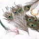 thumbnail image 5 of Plumas de pavo real THARAHT, 24 unidades de largo, naturales, 35-40 cm, para manualidades, 5 of 6
